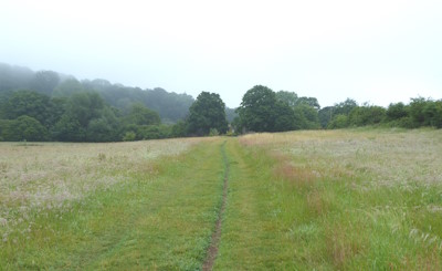 Frome valley near Iford
