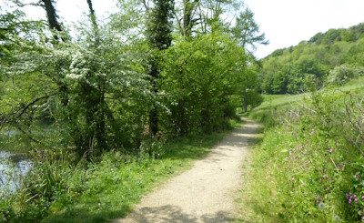 Through Woodchester Park